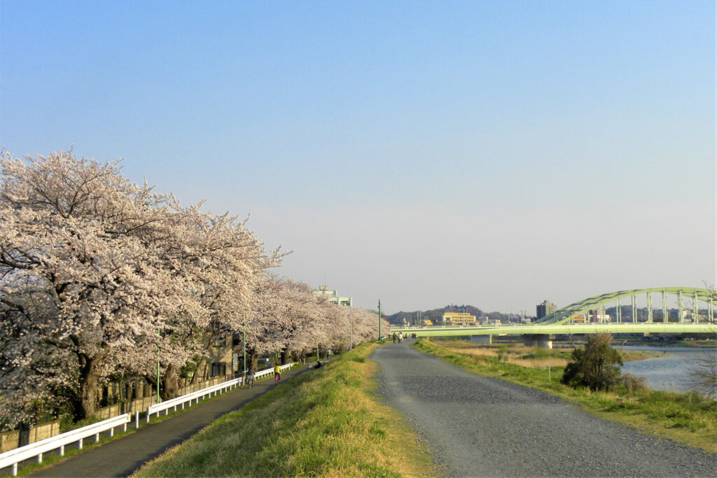 多摩川沿い 自転車ロード